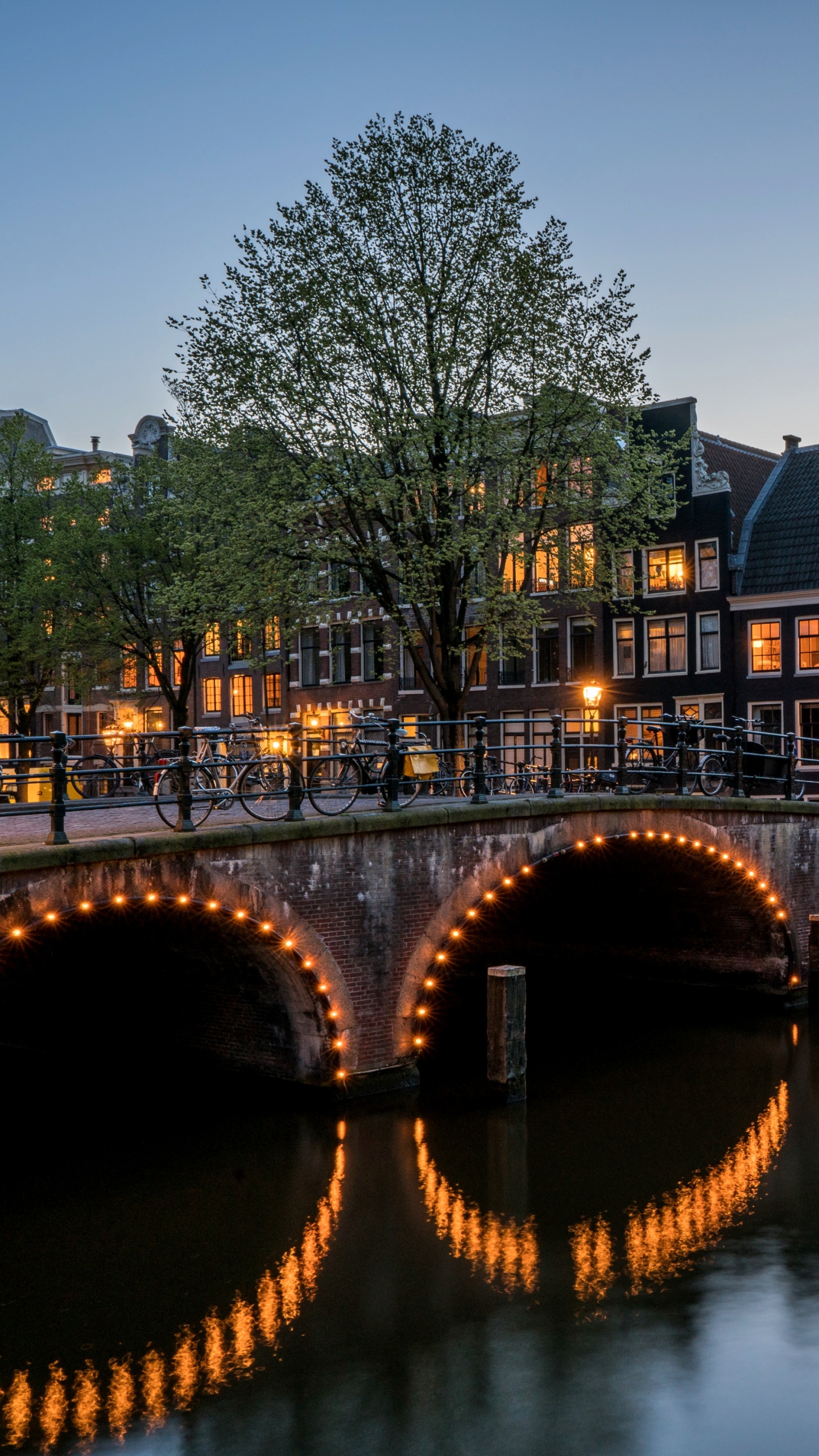 Обои канал, отражение, водный путь, вода, ночь в разрешении 1440x2560