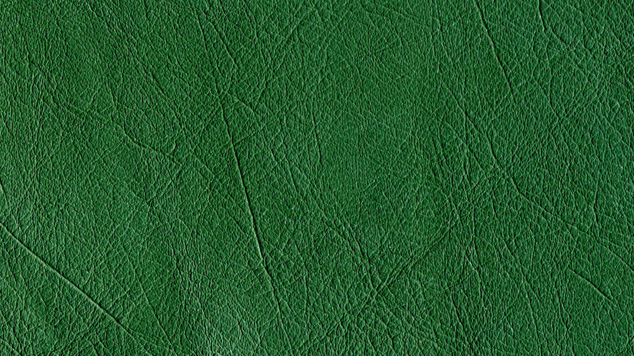 Обои зеленый, искусственное покрытие, растение, газон, завод в разрешении 2560x1440