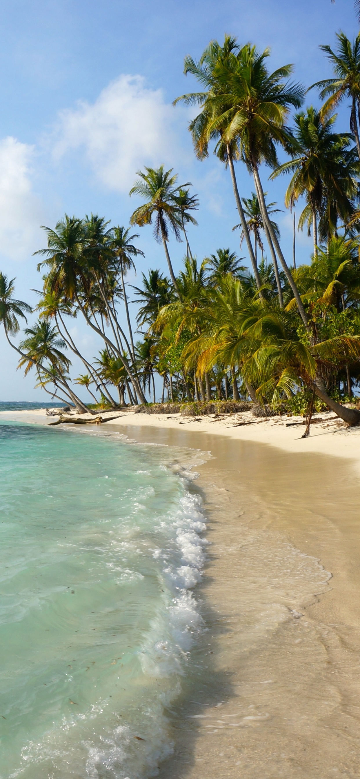 Обои водоем, тропическая зона, пляж, берег, море в разрешении 1242x2688