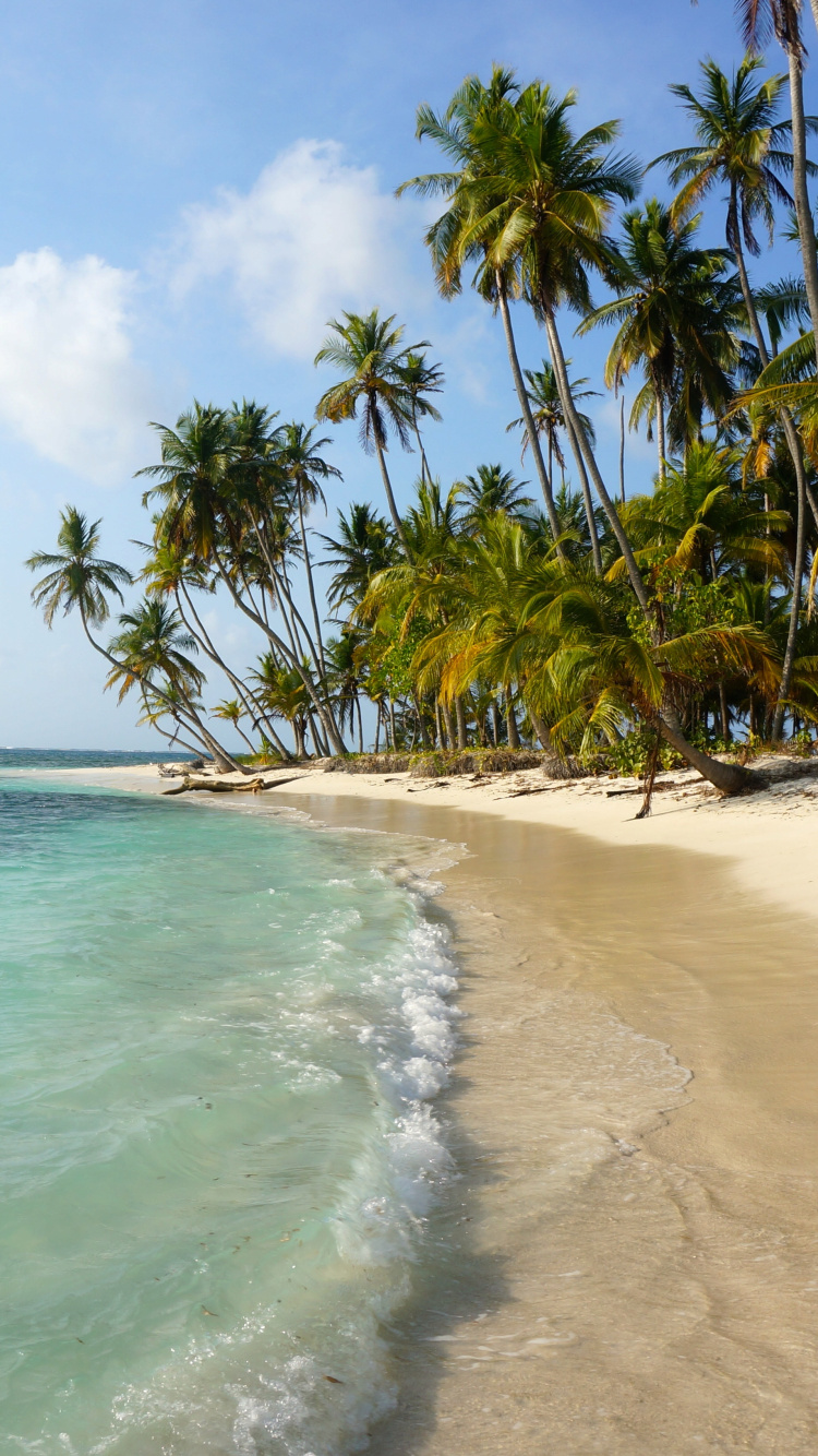 Обои водоем, тропическая зона, пляж, берег, море в разрешении 750x1334