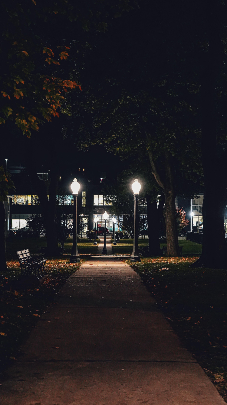 Обои ночь, растение, автомобильное освещение, лист, ветвь в разрешении 750x1334