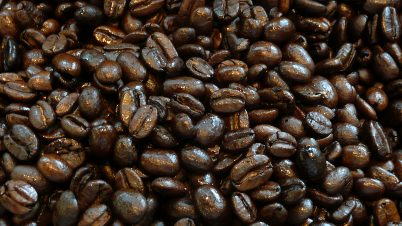 Обои ямайский кофе Блю Маунтин, ирландский кофе, кофейное зерно, какао боб, кофеин в разрешении 1280x720