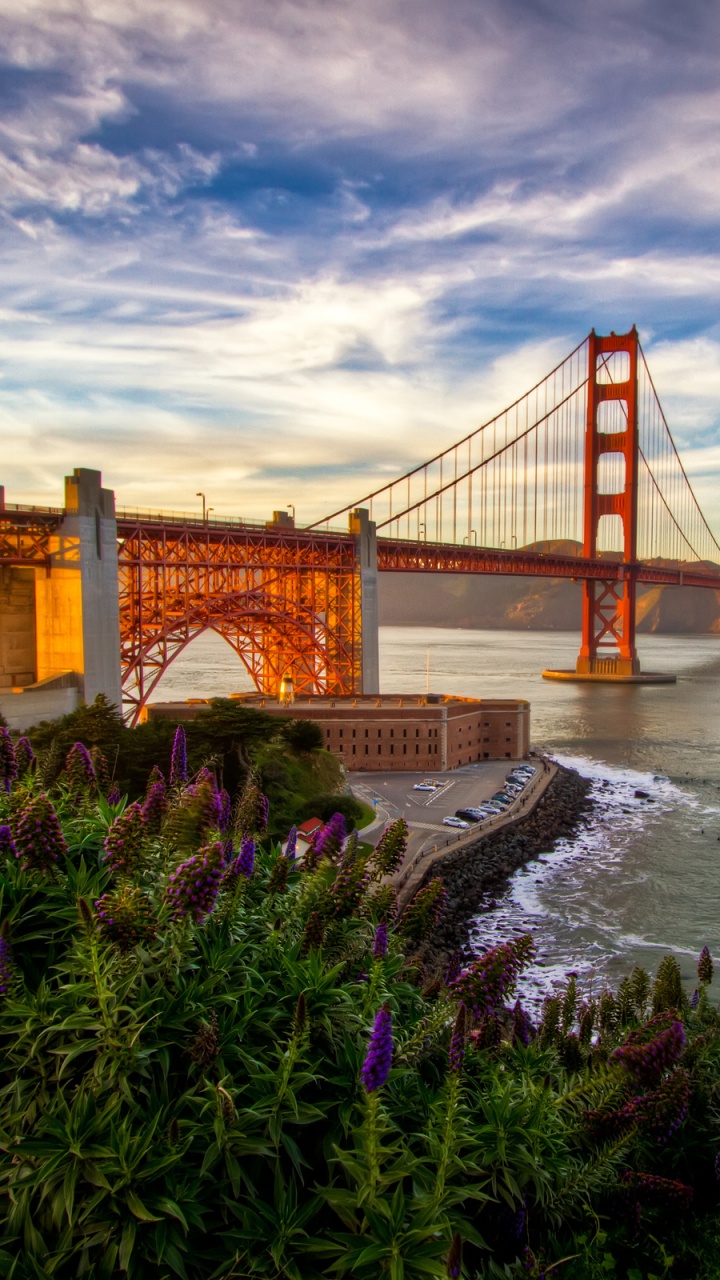 Обои мост Golden Gate, мост, облако, море, океан в разрешении 720x1280