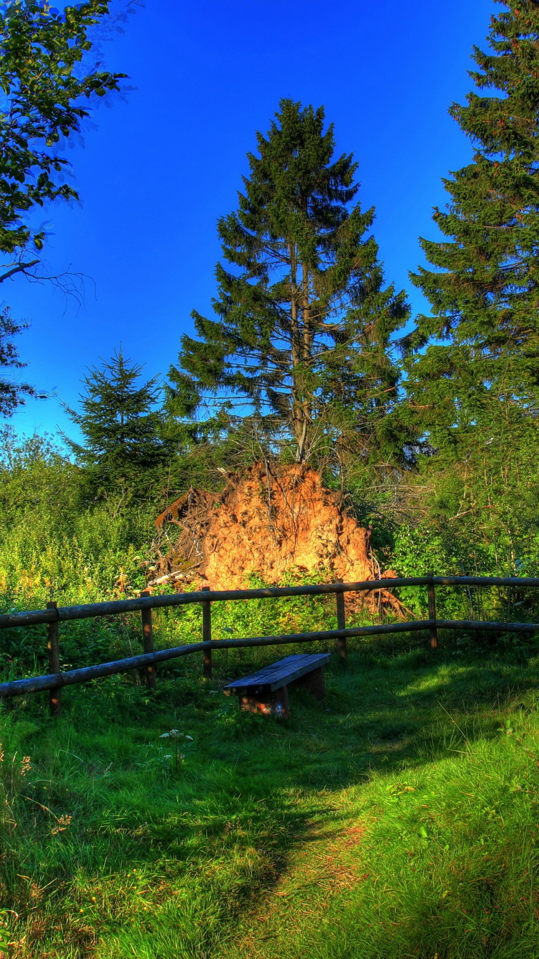 Обои пейзажная живопись, природа, дерево, дикая местность, растительность в разрешении 1080x1920