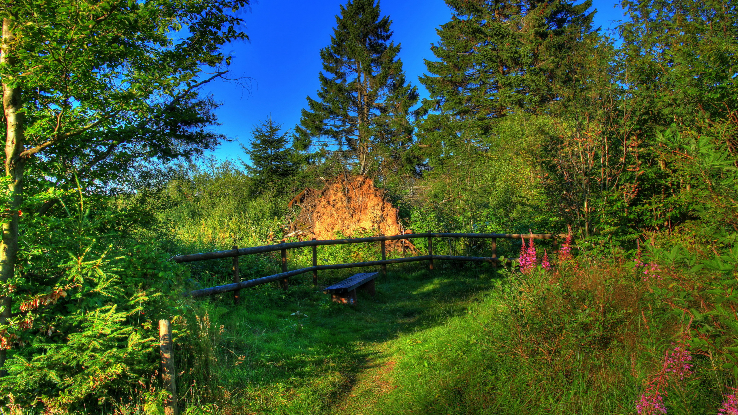 Обои пейзажная живопись, природа, дерево, дикая местность, растительность в разрешении 2560x1440