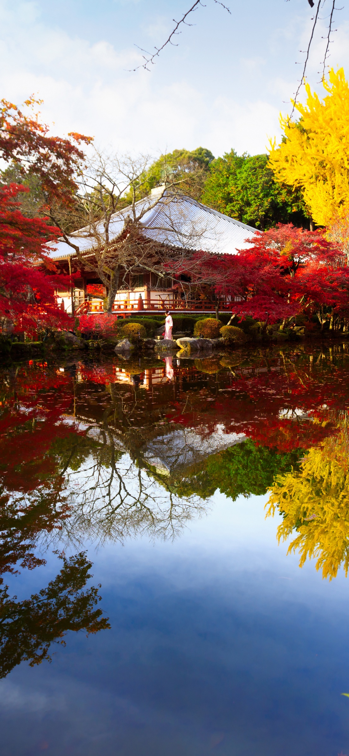 Обои природа, дерево, отражение, лист, осень в разрешении 1125x2436