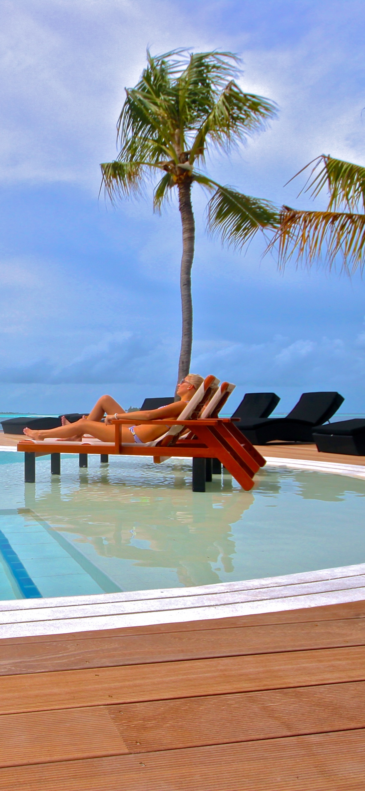 Обои плавательный бассейн, отпуск, прибежище, тропическая зона, Карибский бассейн в разрешении 1242x2688