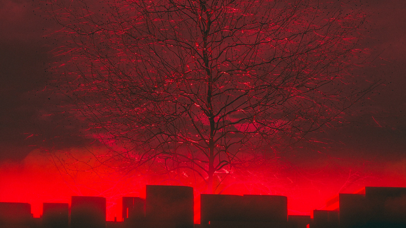 Обои красный цвет, дерево, ночь, ветвь, ветвление в разрешении 1366x768