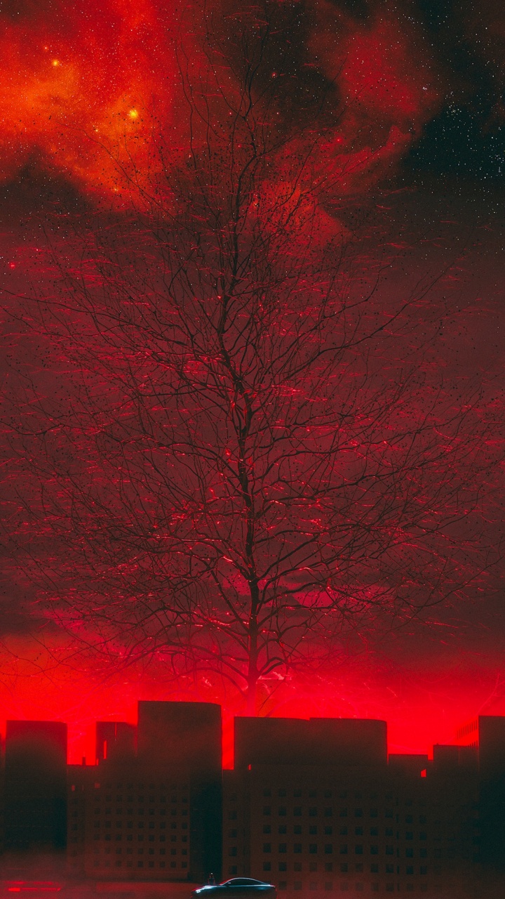 Обои красный цвет, дерево, ночь, ветвь, ветвление в разрешении 720x1280