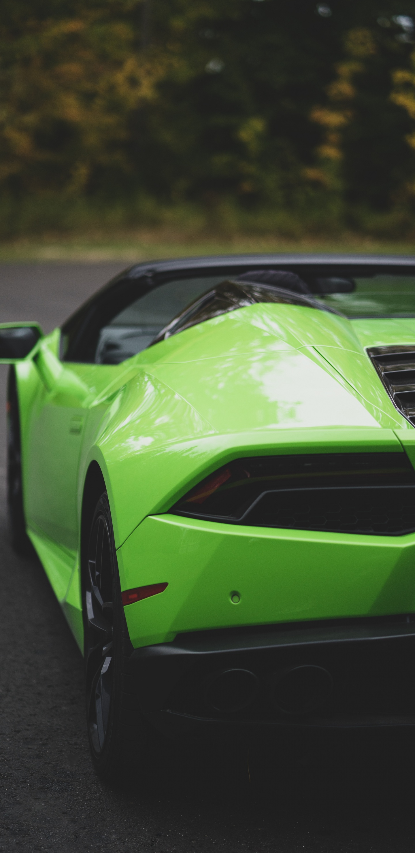 Обои Ламборгини авентадор, Ламборджини, капюшон, суперкар, Lamborghini Murcilago в разрешении 1440x2960