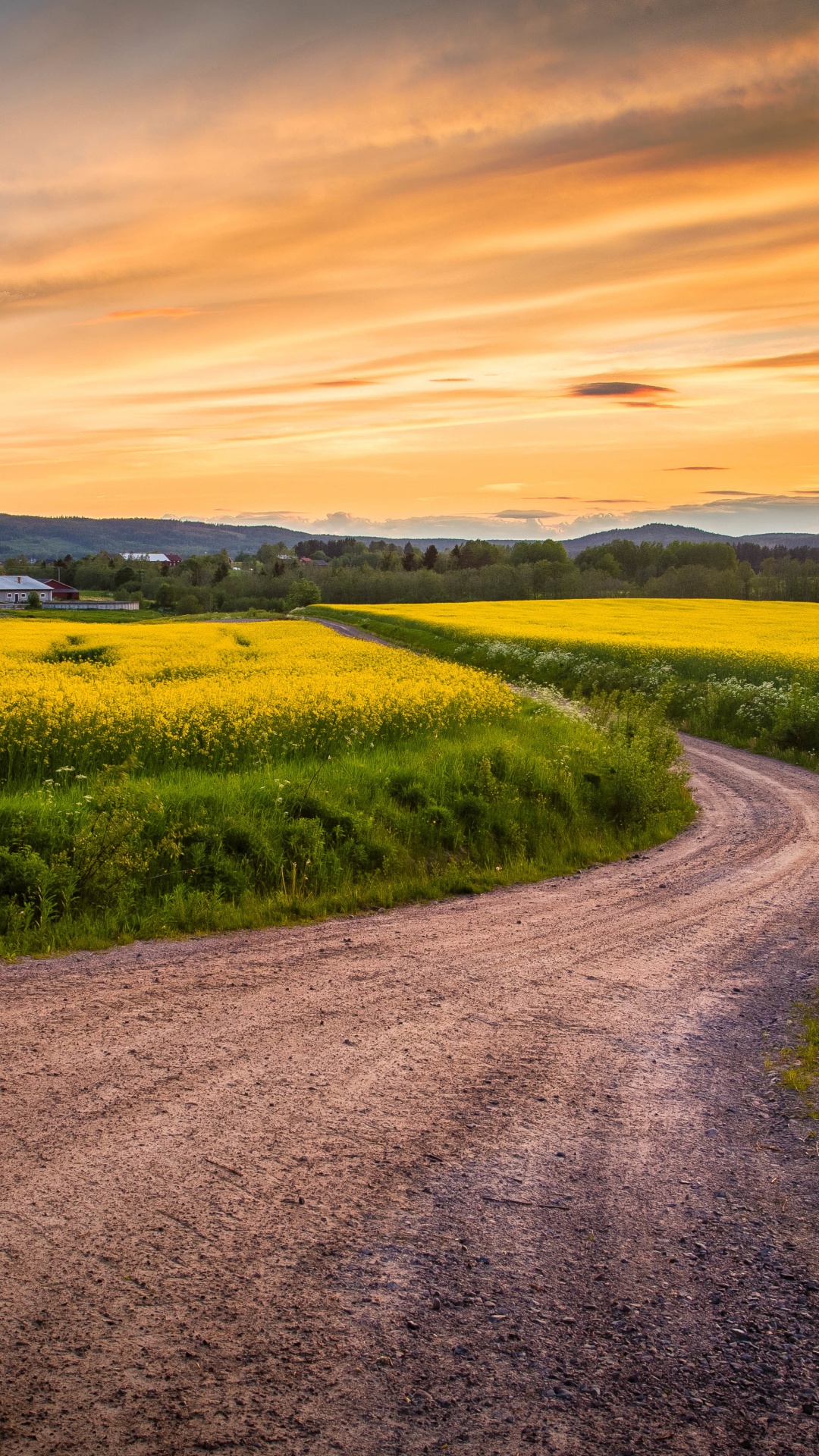 Обои горизонт, дорога, поле, закат, желтый в разрешении 1080x1920