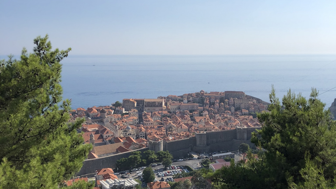 Обои пейзажи гор, наука, биология, растительность, соседство в разрешении 1280x720