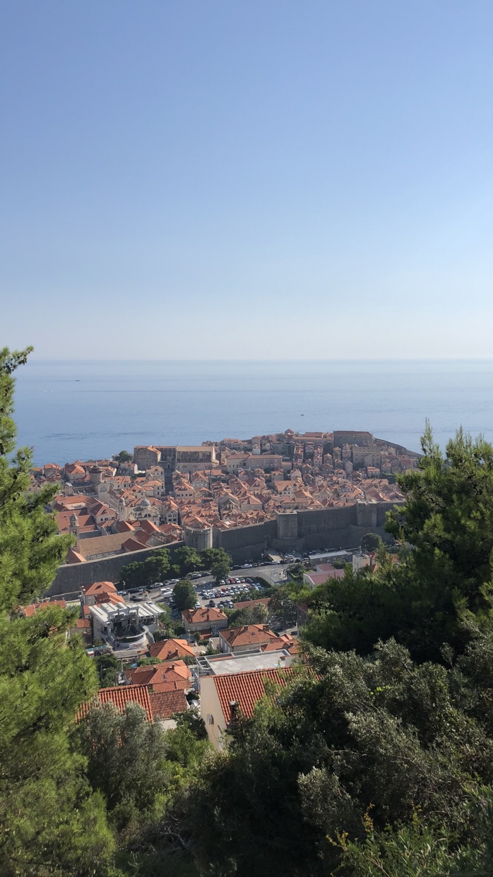 Обои пейзажи гор, наука, биология, растительность, соседство в разрешении 720x1280