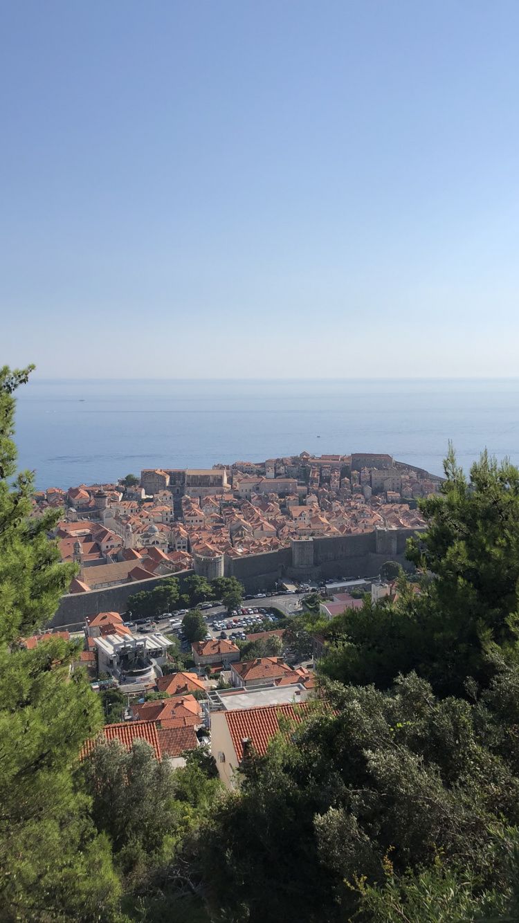 Обои пейзажи гор, наука, биология, растительность, соседство в разрешении 750x1334