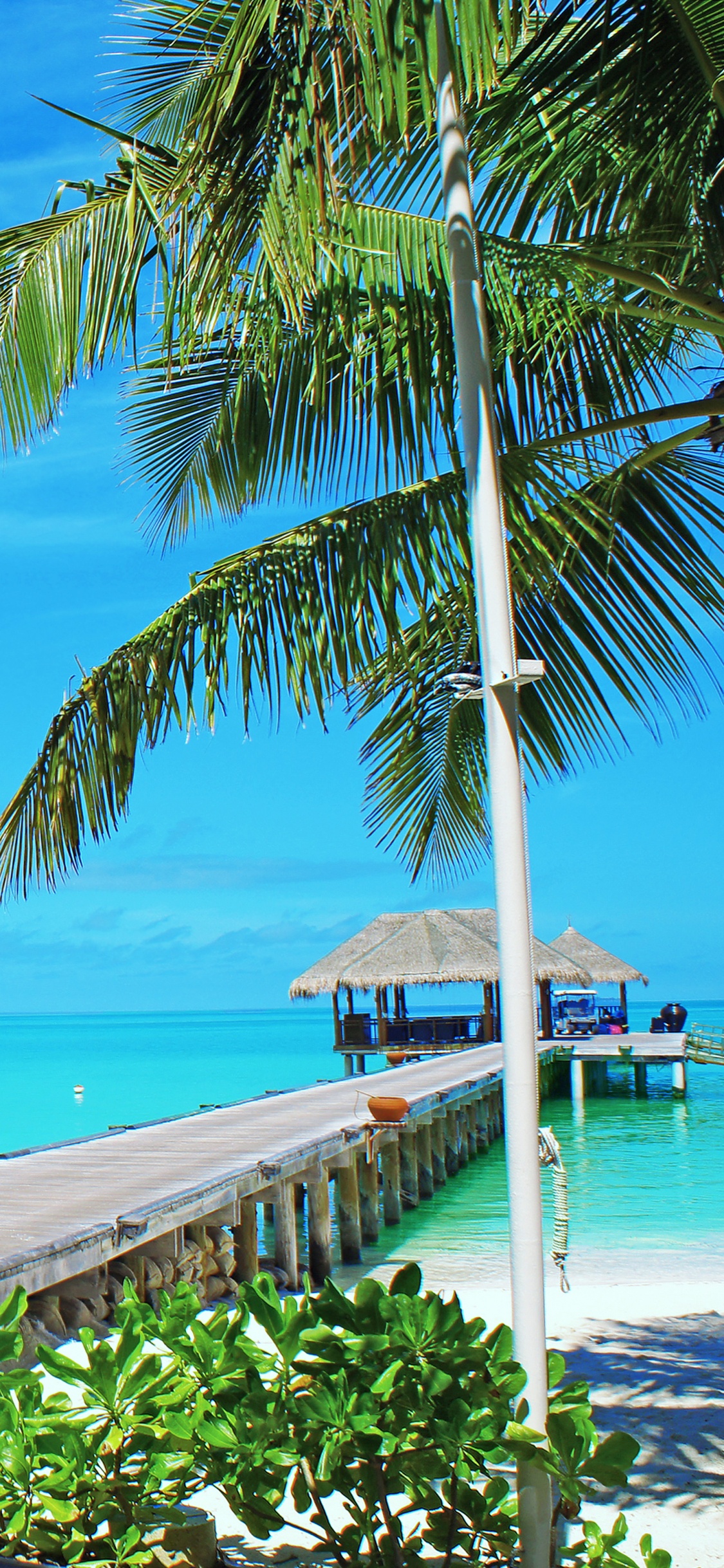 Обои пляж, берег, море, Мальдивы, прибежище в разрешении 1125x2436