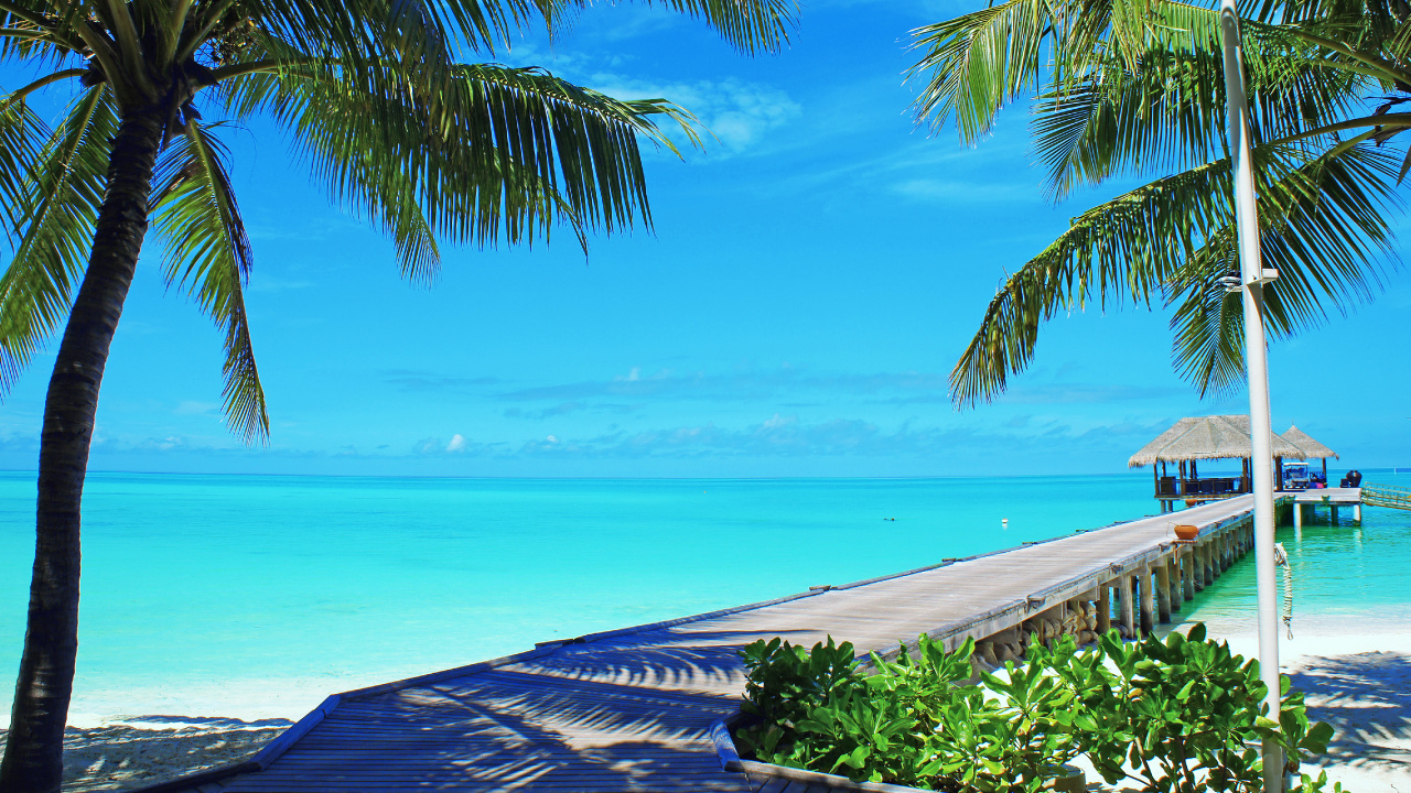 Обои пляж, берег, море, Мальдивы, прибежище в разрешении 1280x720