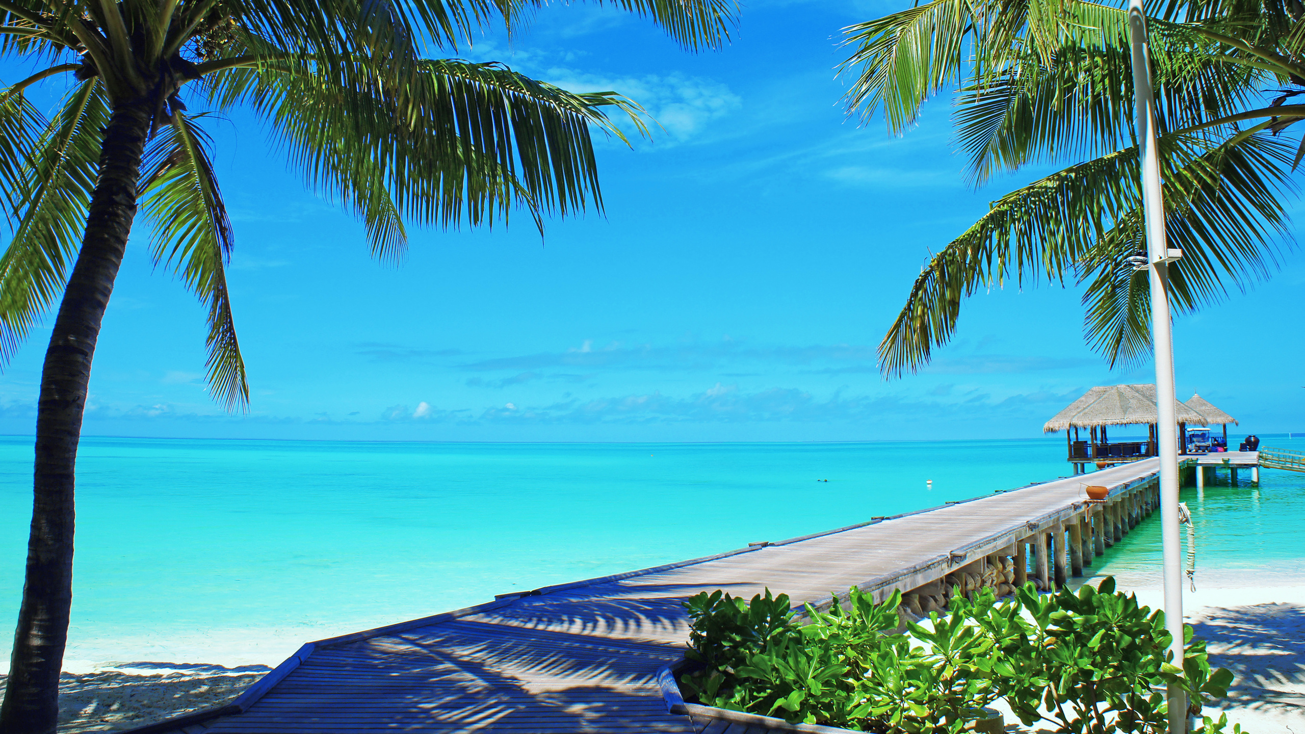Обои пляж, берег, море, Мальдивы, прибежище в разрешении 2560x1440