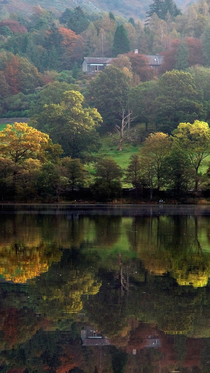 Обои природа, отражение, вода, лист, озеро в разрешении 720x1280