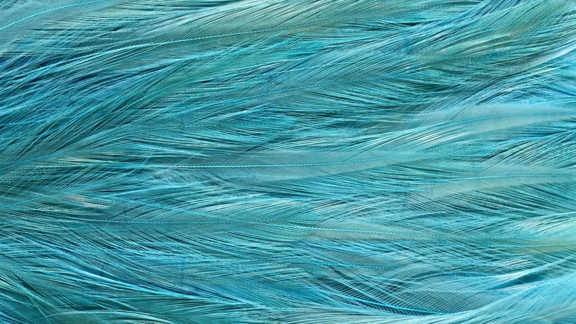 Обои текстура, синий, Аква, бирюза, чирок в разрешении 1920x1080