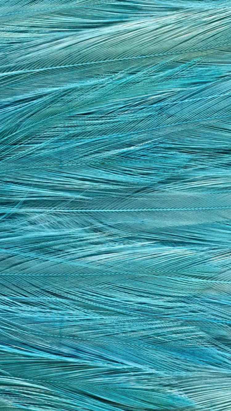 Обои текстура, синий, Аква, бирюза, чирок в разрешении 750x1334