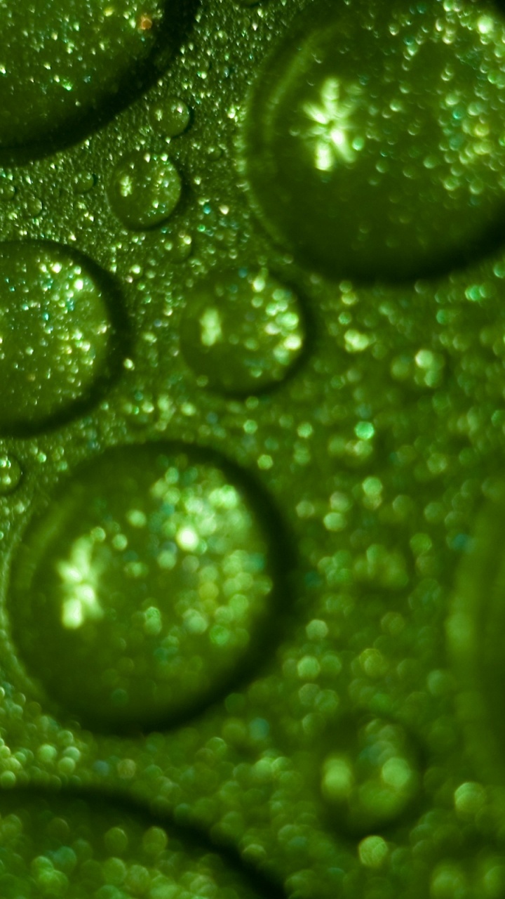 Обои зеленый, вода, падение, роса, влага в разрешении 720x1280