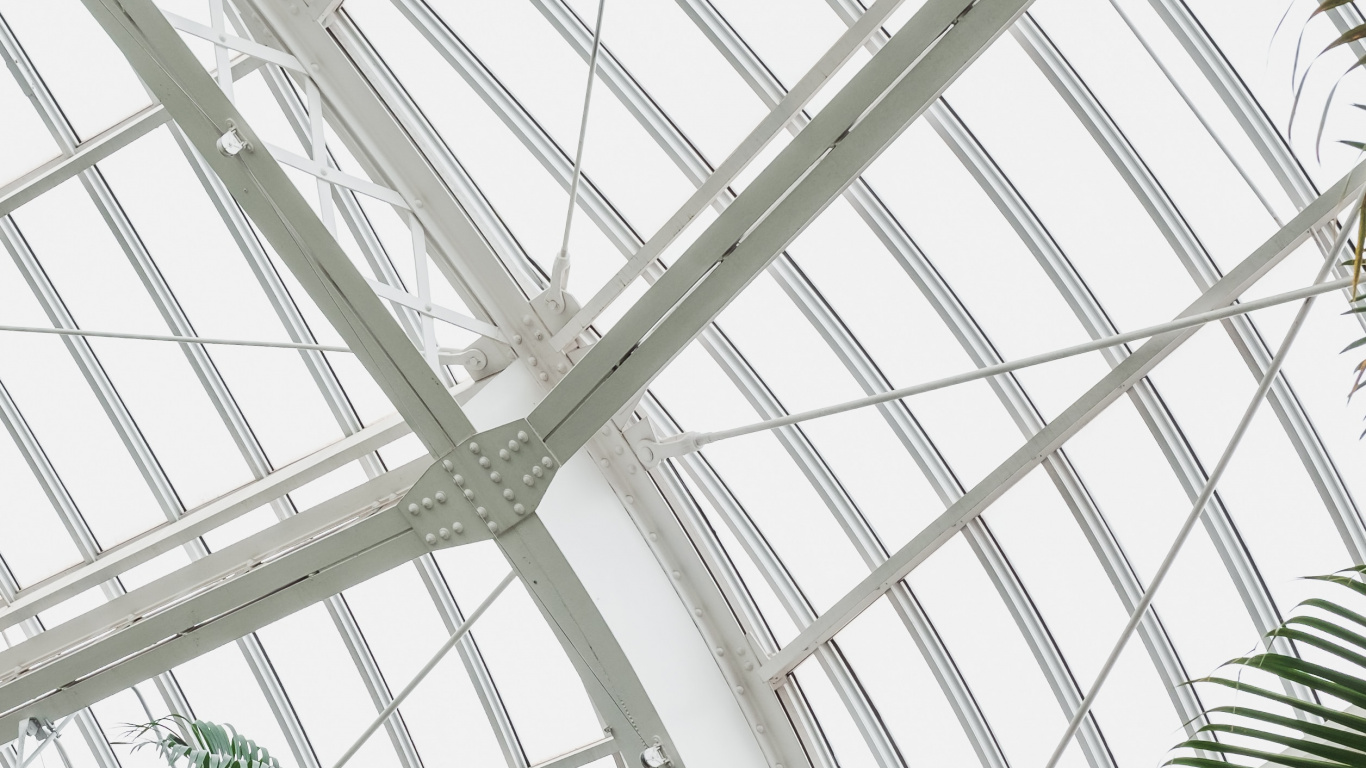 Обои пальмовые рощи, теплица, дневное освещение, архитектура, дерево в разрешении 1366x768