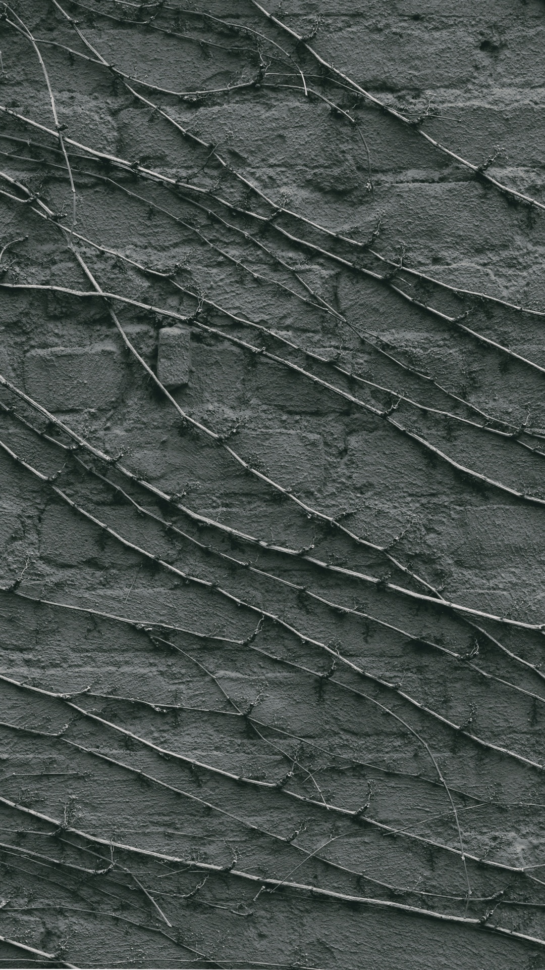 Обои лист, черный, узор, растение, монохромный в разрешении 1080x1920