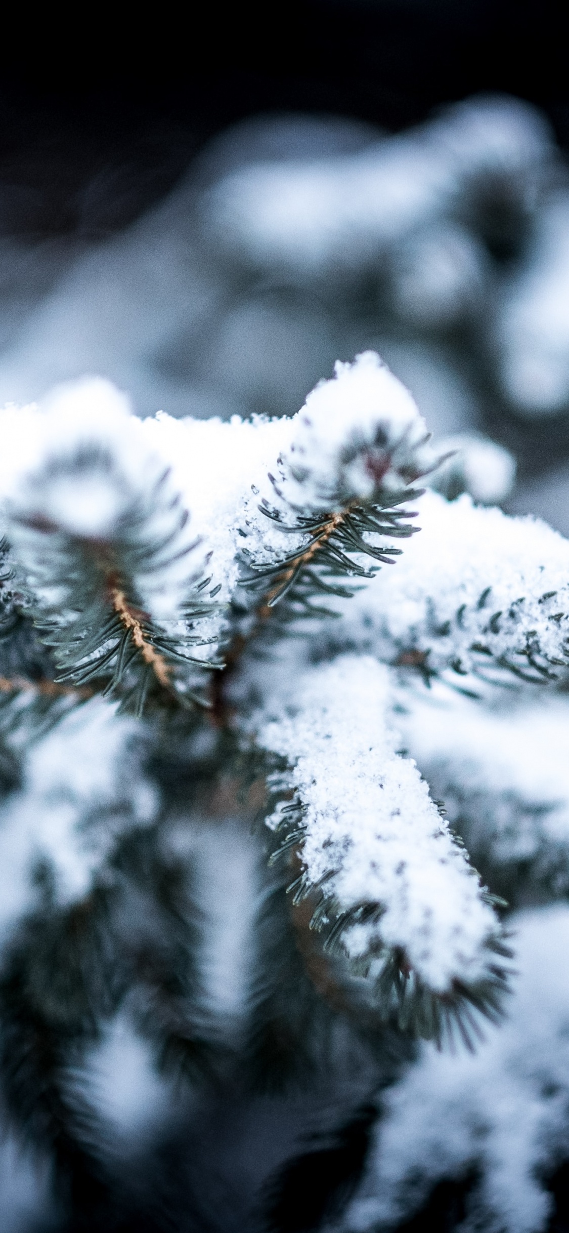 Обои зима, лучший аромат на снегу, снег, добро, снежная буря в разрешении 1125x2436