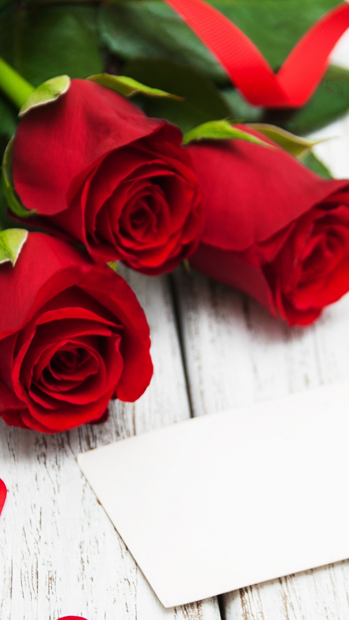 Обои сердце, красный цвет, День Святого Валентина, Роза, любовь в разрешении 720x1280