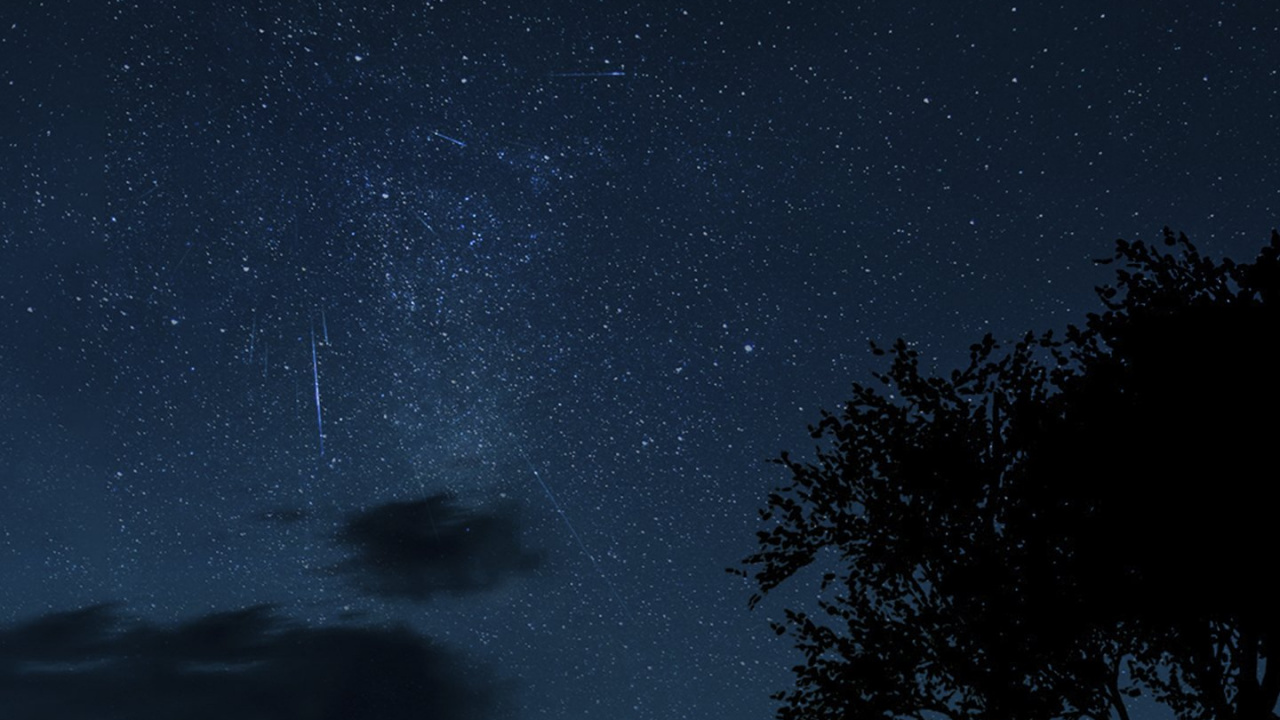 Обои луна силуэт девушка и собака, датский дог, атмосфера, свет, природа в разрешении 1280x720