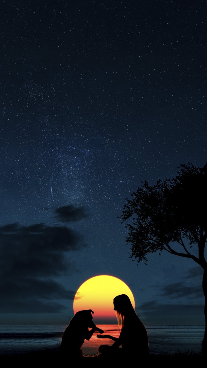 Обои луна силуэт девушка и собака, датский дог, атмосфера, свет, природа в разрешении 720x1280