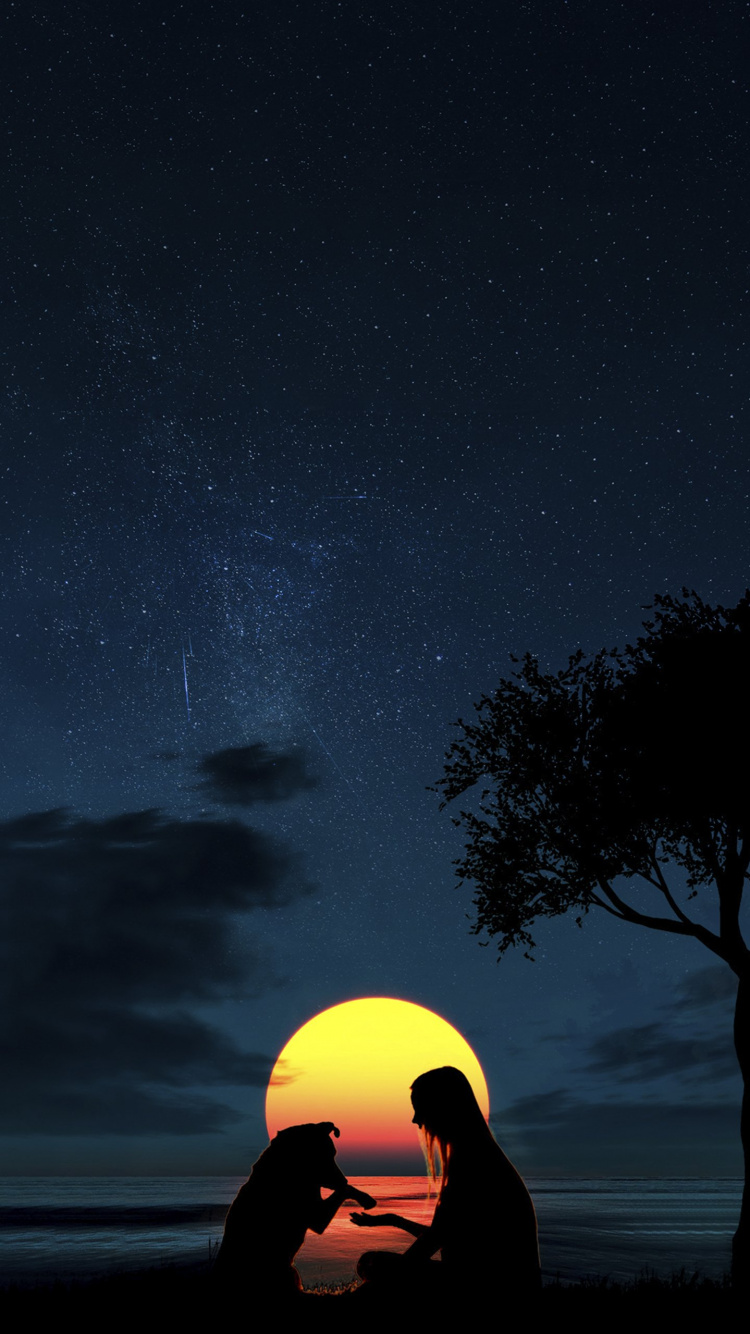 Обои луна силуэт девушка и собака, датский дог, атмосфера, свет, природа в разрешении 750x1334