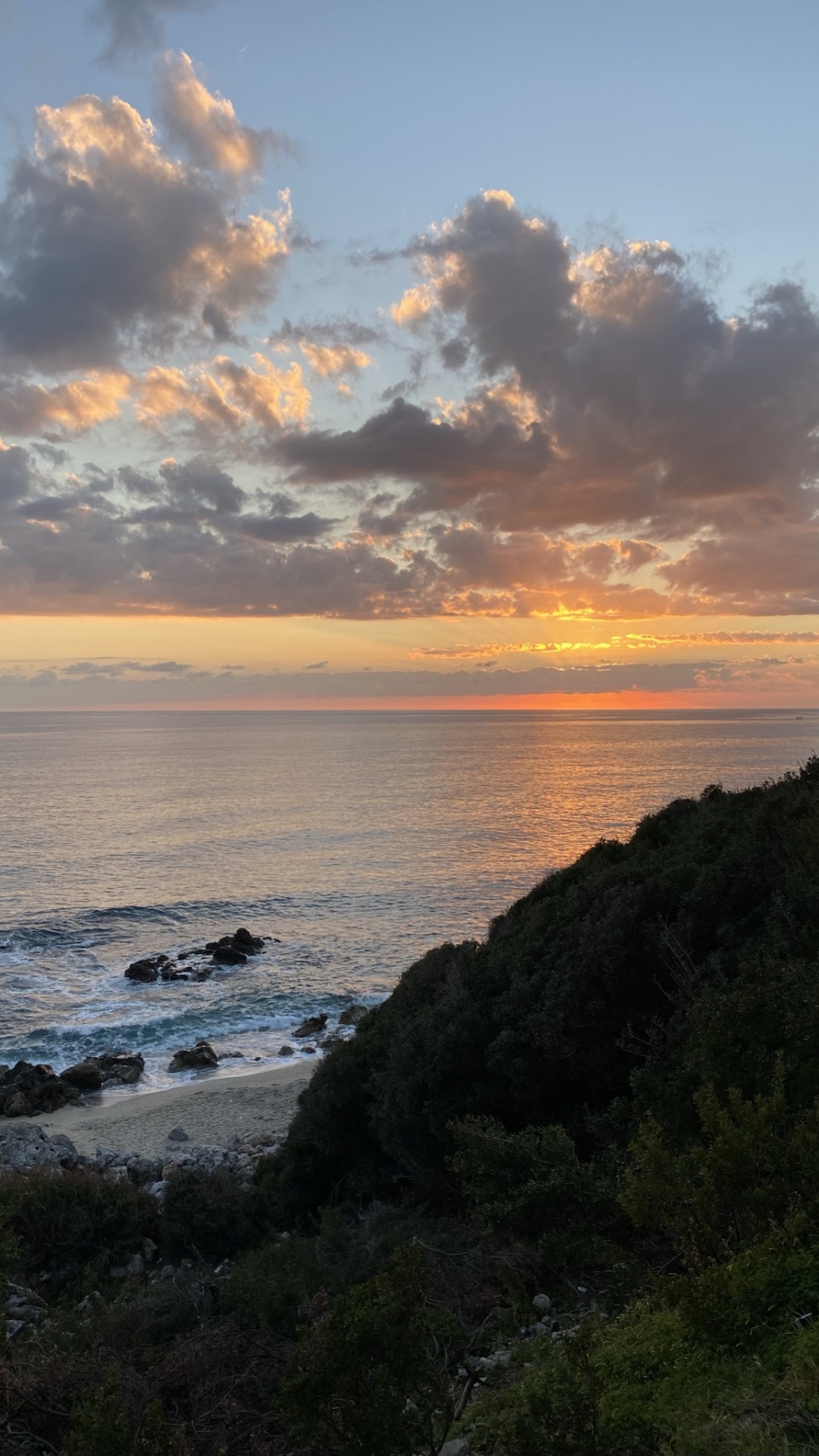 Обои облако, вода, растение, послесвечение, сумрак в разрешении 1080x1920