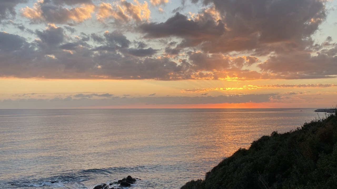 Обои облако, вода, растение, послесвечение, сумрак в разрешении 1280x720