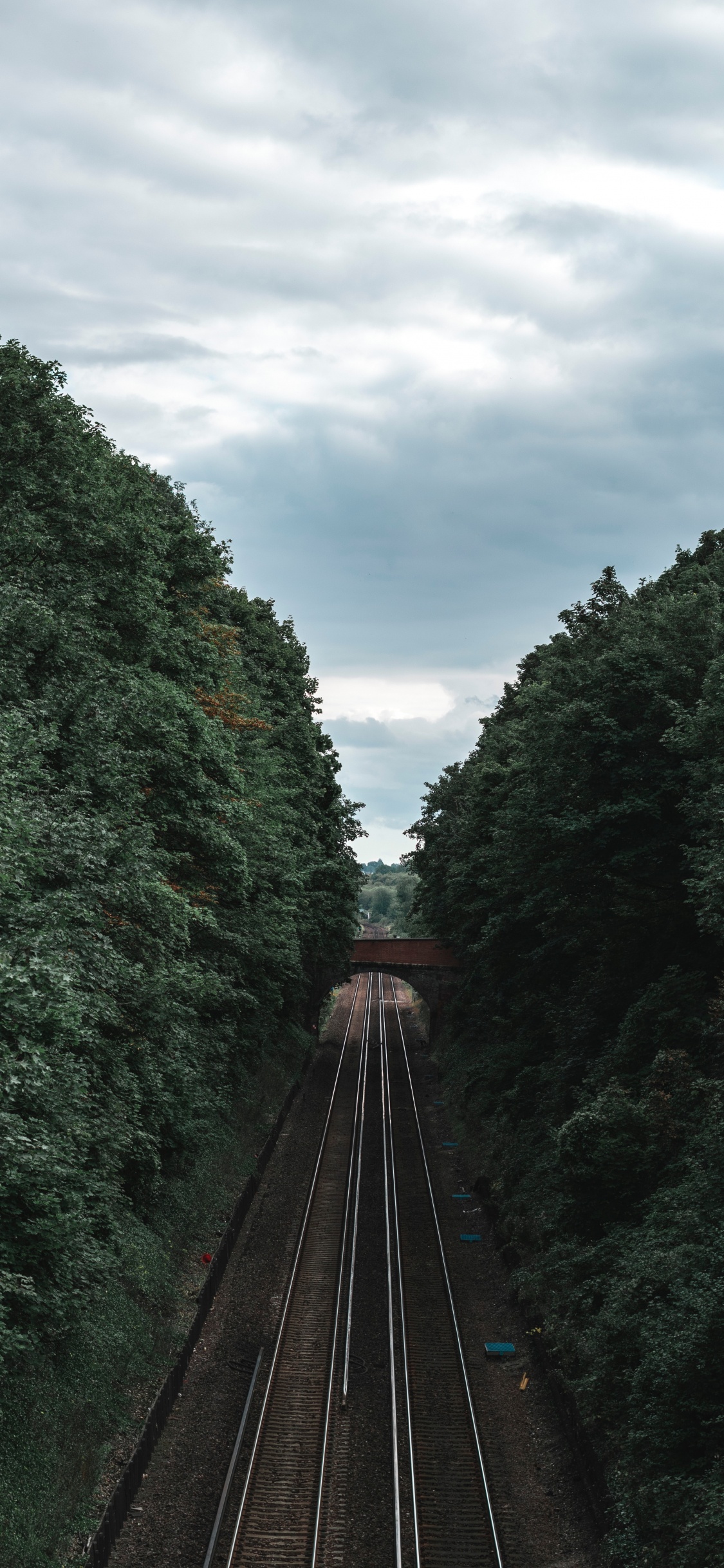 Обои железнодорожный транспорт, железная дорога, трек, транспорт, дерево в разрешении 1125x2436