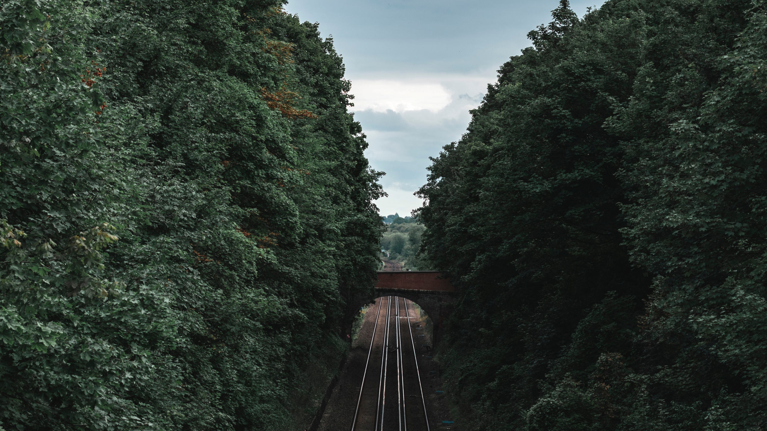 Обои железнодорожный транспорт, железная дорога, трек, транспорт, дерево в разрешении 2560x1440