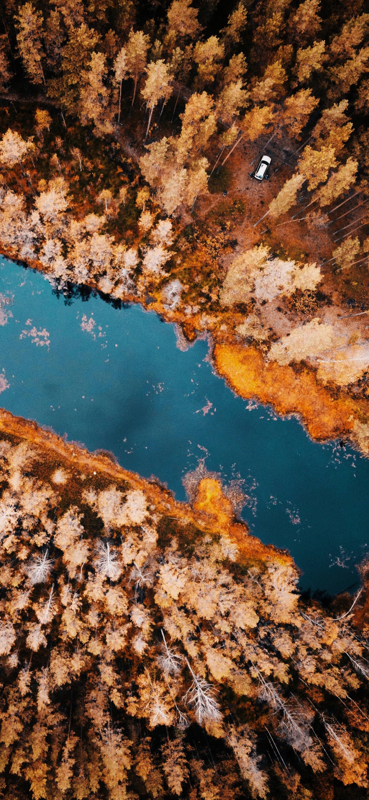 Обои отражение, вода, гидроресурсы, лазурный, природный ландшафт в разрешении 1242x2688