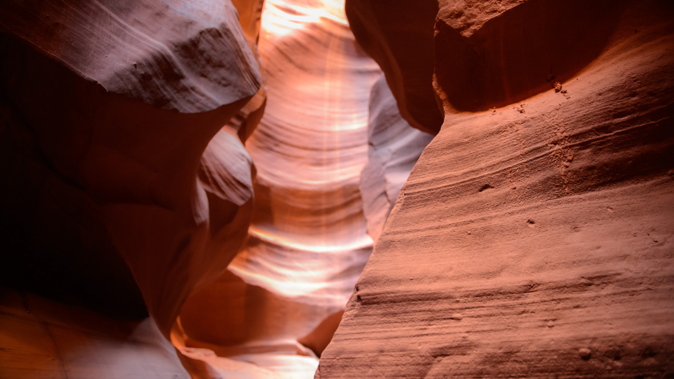 Обои каньон антилопы, каньон, свет, измеритель, древесина в разрешении 1366x768