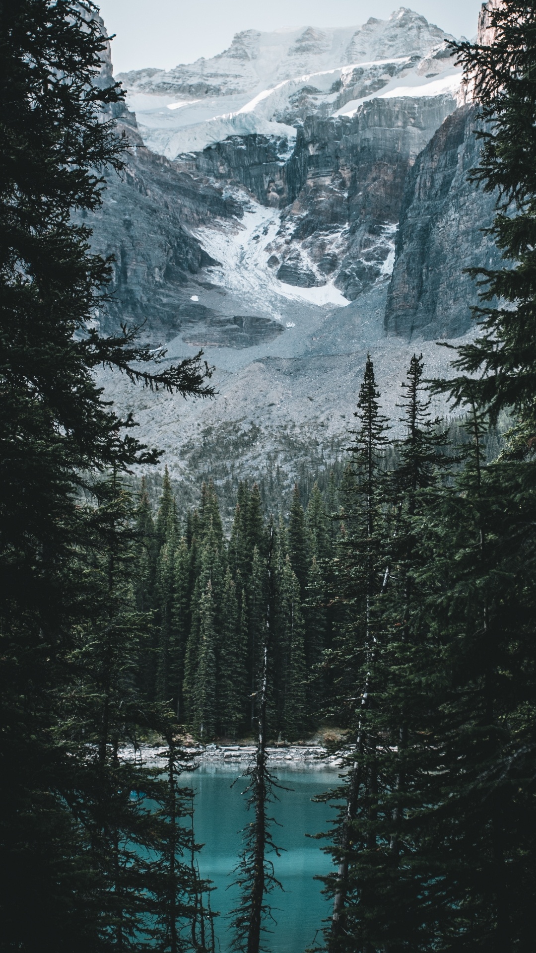 Обои горы и лес, лес, вода, гора, снег в разрешении 1080x1920