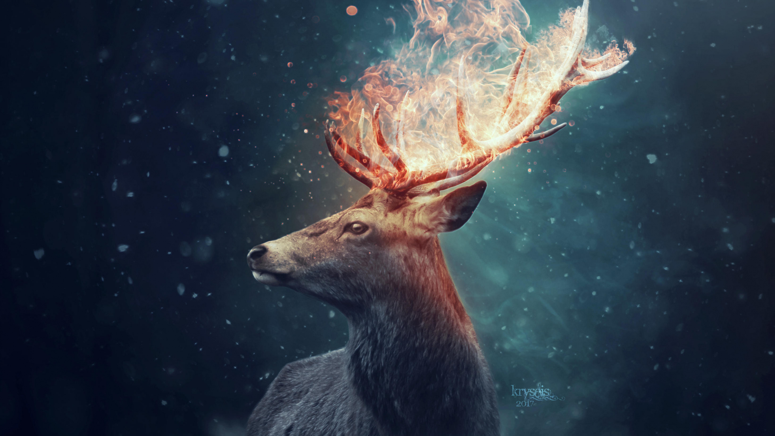 Обои олень, арт, живая природа, атмосфера, космос в разрешении 2560x1440
