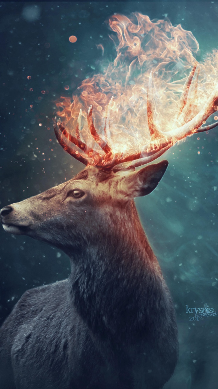 Обои олень, арт, живая природа, атмосфера, космос в разрешении 720x1280