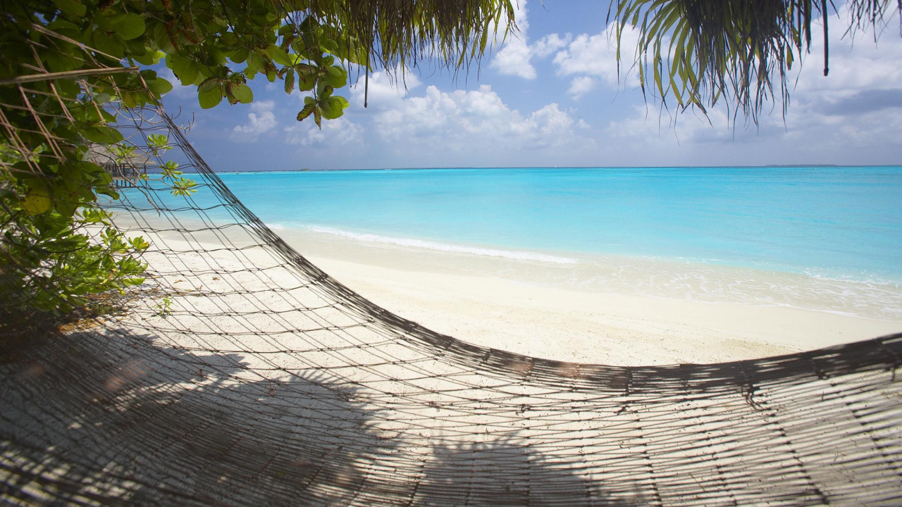 Обои пляж, отпуск, тропическая зона, море, берег в разрешении 1280x720