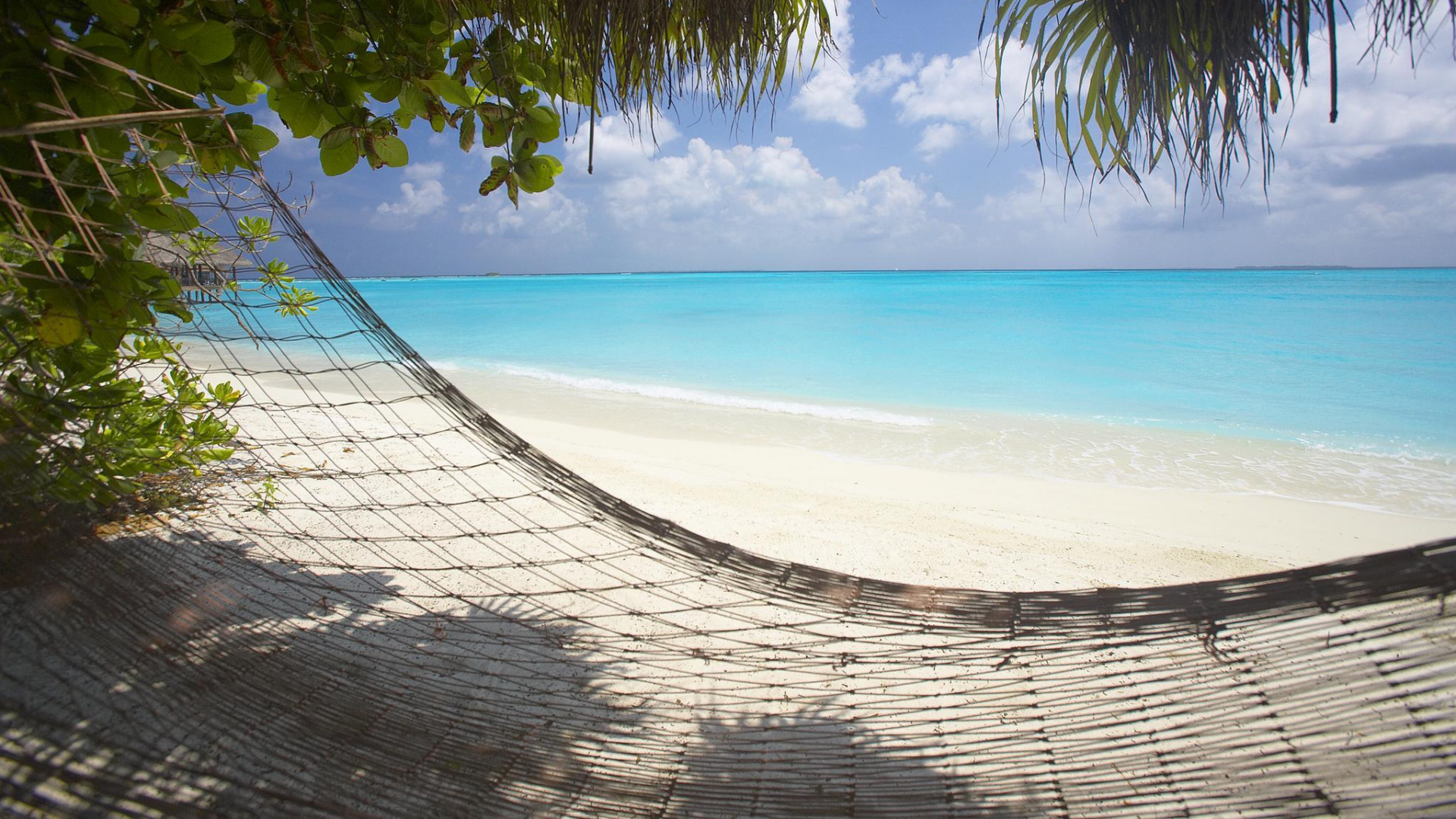 Обои пляж, отпуск, тропическая зона, море, берег в разрешении 1920x1080