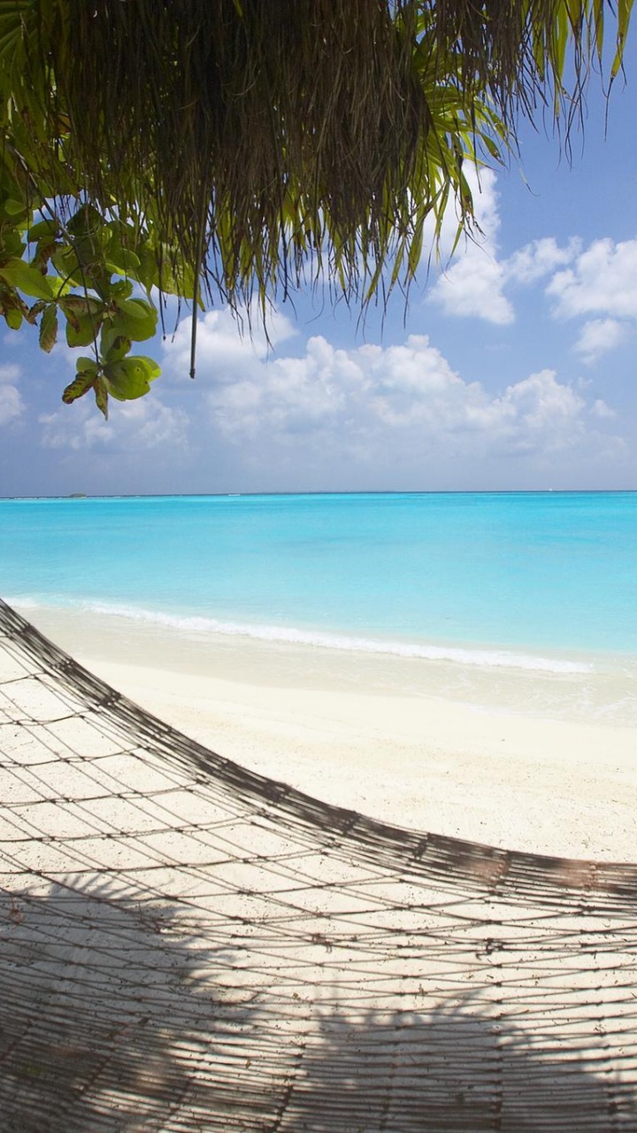 Обои пляж, отпуск, тропическая зона, море, берег в разрешении 720x1280