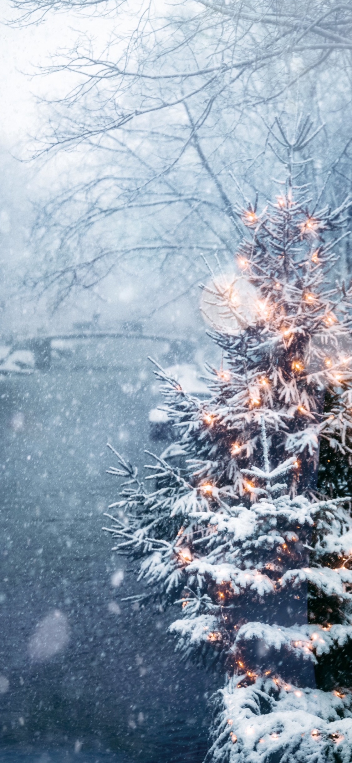 Обои Новый год, Рождество, смартфон, елка, растение в разрешении 1125x2436