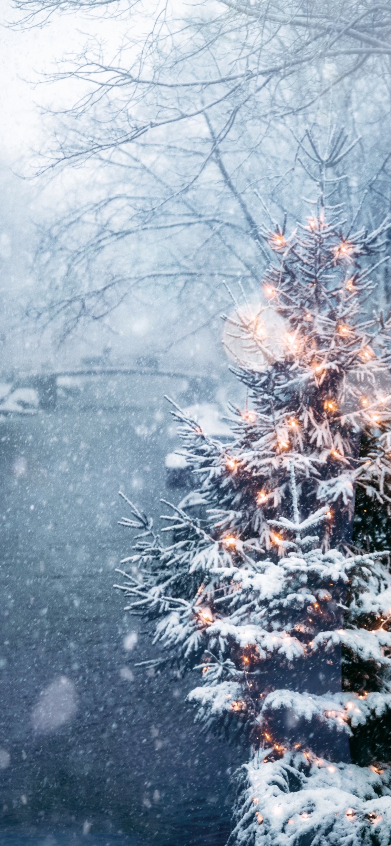 Обои Новый год, Рождество, смартфон, елка, растение в разрешении 1242x2688