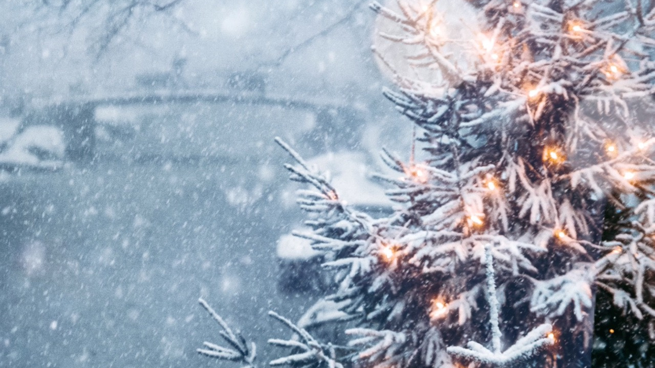 Обои Новый год, Рождество, смартфон, елка, растение в разрешении 1280x720