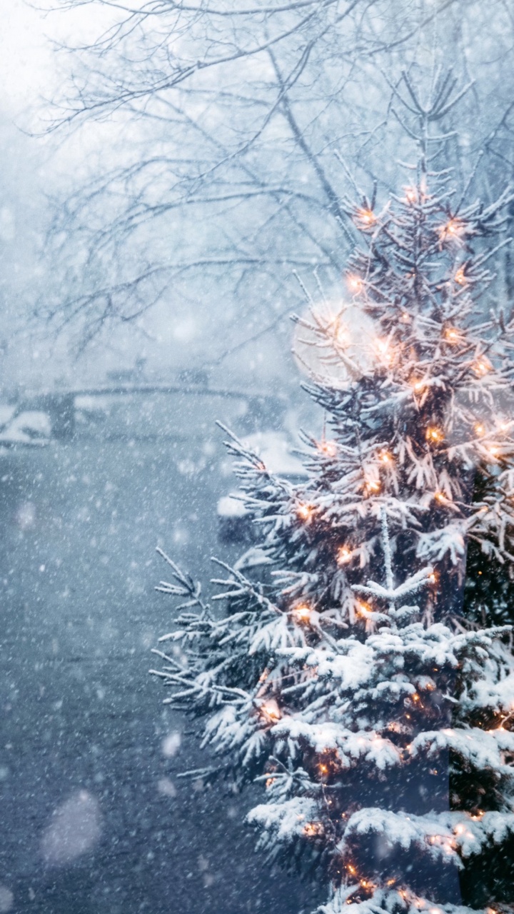 Обои Новый год, Рождество, смартфон, елка, растение в разрешении 720x1280