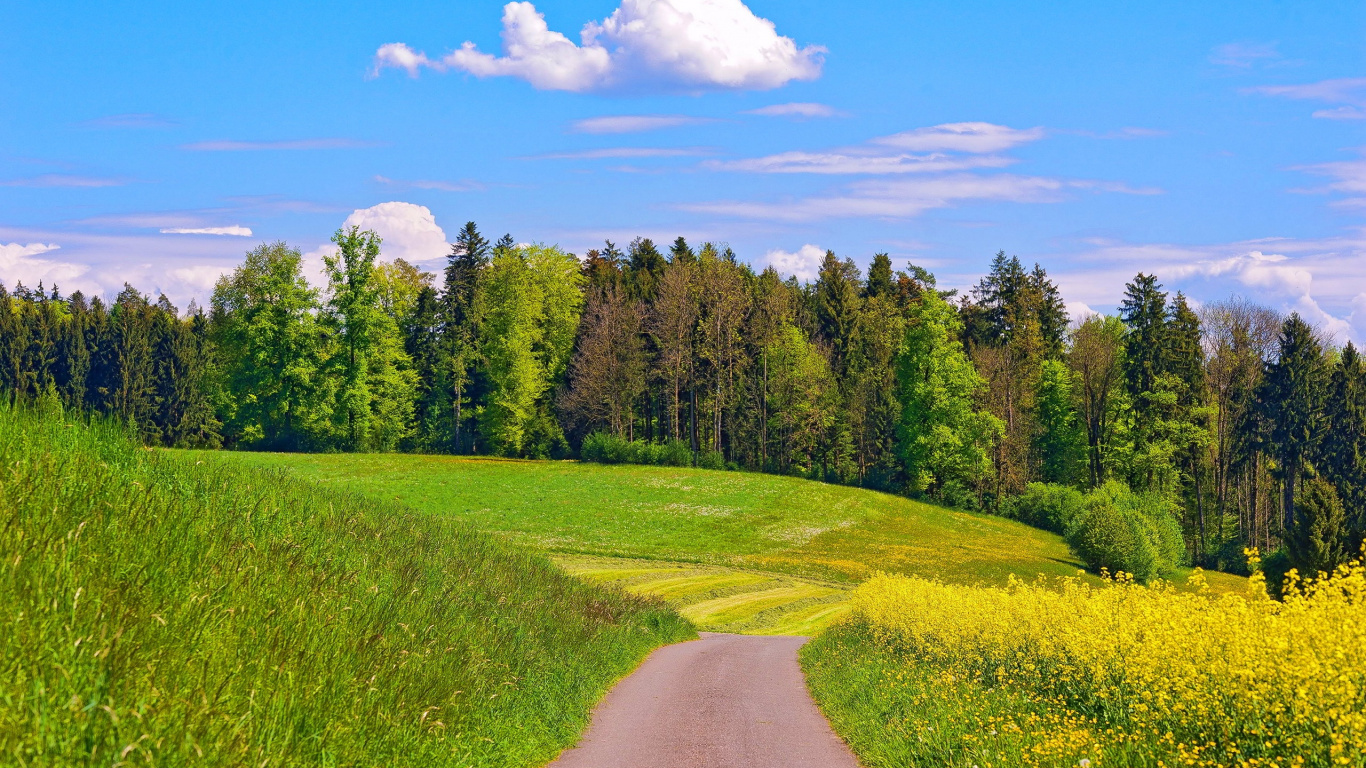 Обои природа, сенокосное угодье, луг, поле, выгон в разрешении 1366x768