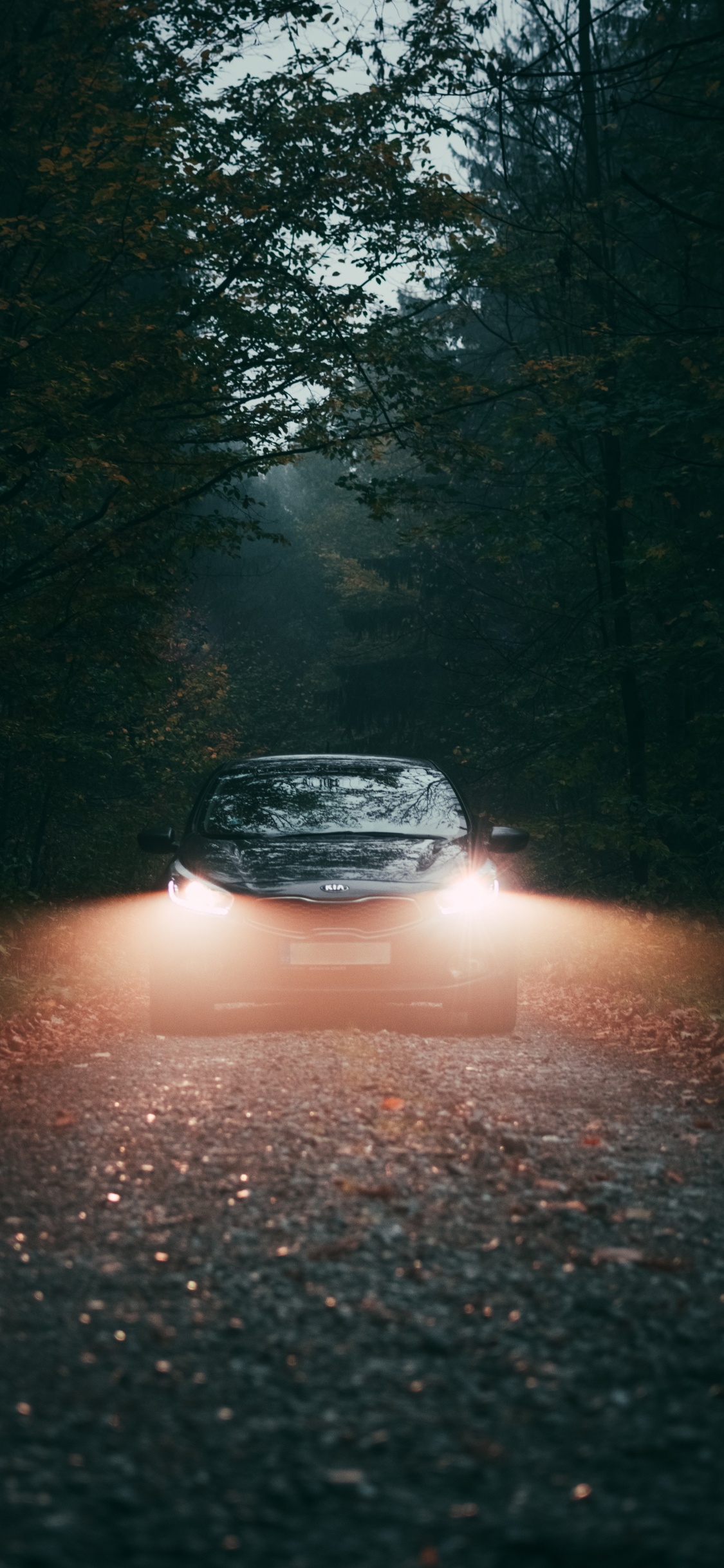 Обои яблоко, ночь, автомобильное освещение, авто, автомобильный экстерьер в разрешении 1125x2436